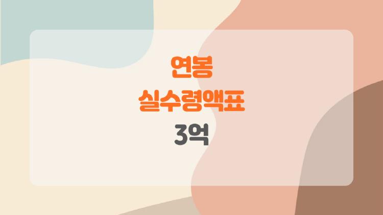 연봉 실수령액표 3억