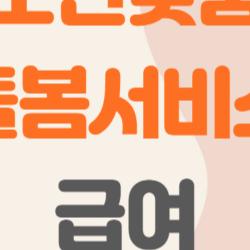 노인맞춤돌봄서비스 급여, 혼자 사는 할머니가 받는 실제 이야기와 반전 팁