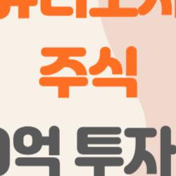 퓨리오사 주식, 1700억 투자 유치와 테마주의 진짜 변수는 무엇일까?