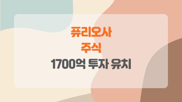 퓨리오사 주식, 1700억 투자 유치와 테마주의 진짜 변수는 무엇일까?