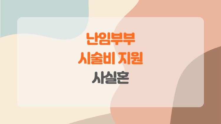 난임부부 시술비 지원 사실혼, 사실혼 부부도 이제 지원받는다? 놀라운 반전