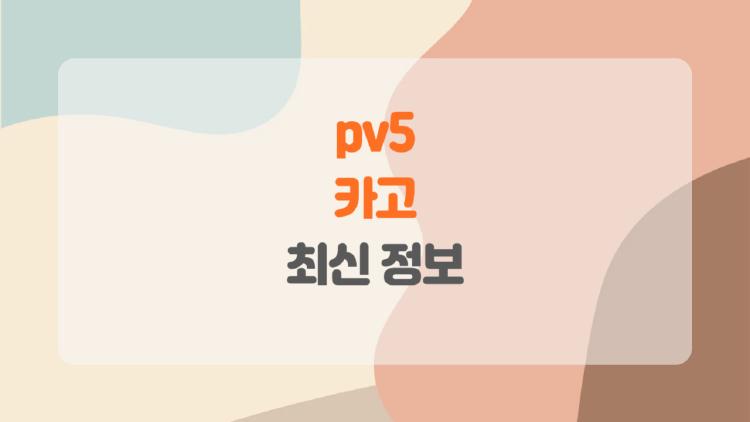 pv5 카고, 왜 요즘 물류업계가 주목하는 걸까 궁금하지 않으세요