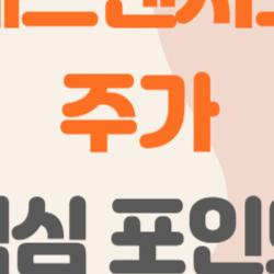 에스엔시스 주가, 상장 첫 주에 왜 이렇게 요동쳤을까? 개인 투자자가 꼭 알아야 할 포인트