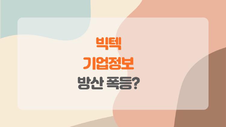 빅텍 기업정보, 연봉 5천만원 찍고 방산 폭등 중인데 진짜일까?