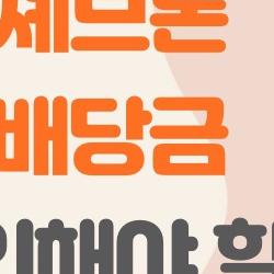 셰브론 배당금, 2026년 지금 당장 확인해야 할 5가지