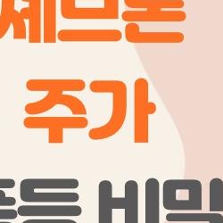 셰브론 주가 폭등 비밀, 배당+유전으로 대박?