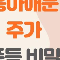 흥아해운 주가 폭등 비밀, 중동 리스크가 다 바꿔놔놓았다!