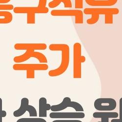 흥구석유 주가 폭등 비밀, 이 타이밍에 사야 할까?