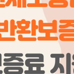 전세보증금 반환보증 보증료 지원, 나처럼 반려 피하고 일주일 만에 돈 받은 후기