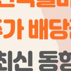 한국콜마 주가 배당금, 2026년 대박 터질까? 솔직 후기