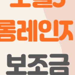 모델3 롱레인지 보조금 대박 터졌다, 지방 이사 값 해?