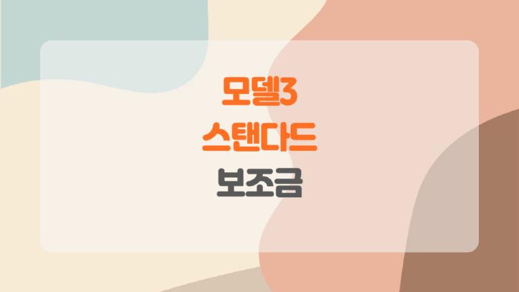 모델3 스탠다드 보조금, 서울 200만 vs 지방 900만 충격 차이