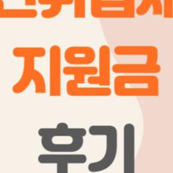 국민취업제도 지원금 후기, 월60만 받았는데 진짜 취업됐다?