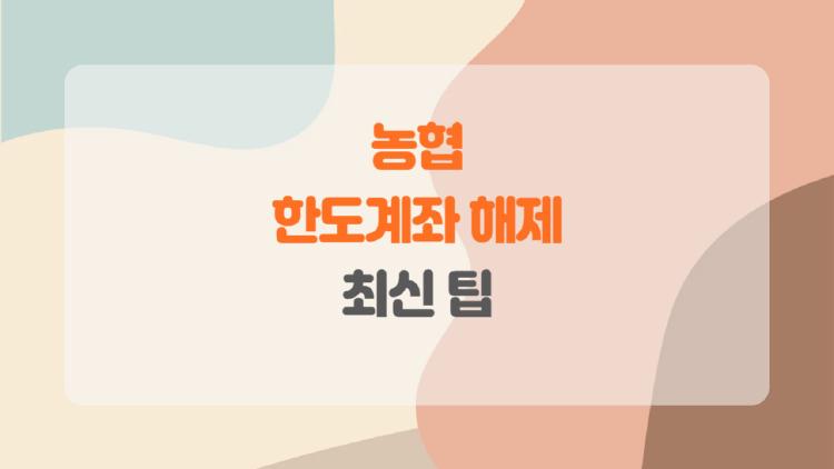 농협 한도제한계좌 해제, 앱 하나로 1분 만에 풀린 쩌는 방법