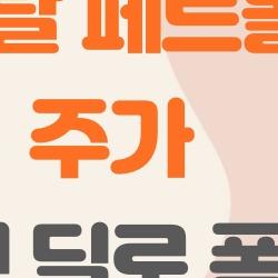 옥시덴탈 페트롤리움 주가, 버핏 딜로 폭등? 2026년 지금 사야 할까?