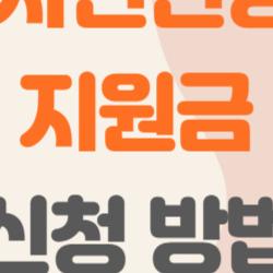 임신 사전건강관리 지원금 신청 방법, 미혼도 13만원 돌려받는 충격 팁