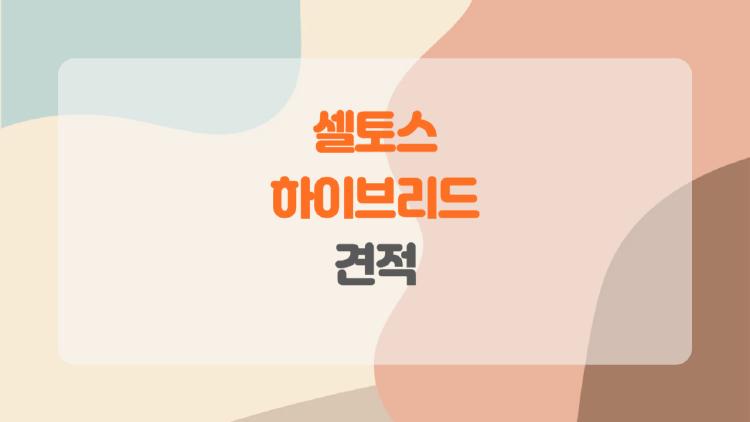 셀토스 하이브리드 견적, 2900만원부터? 진짜 후회 안 할 선택기