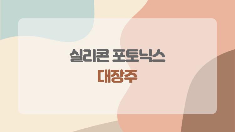 실리콘 포토닉스 대장주, 지금 투자하면 늦은 건 아니야?