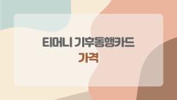 티머니 기후동행카드 가격, 이거 몰랐다면 손해일지도