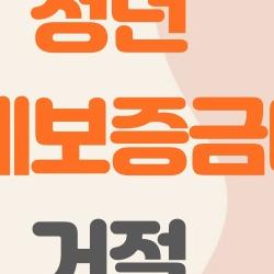 청년 전월세보증금대출 거절, 왜 나한테만?, 충격 4가지 이유